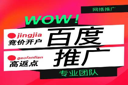 SEM网络推广实战案例：如何实现高效转化与推广